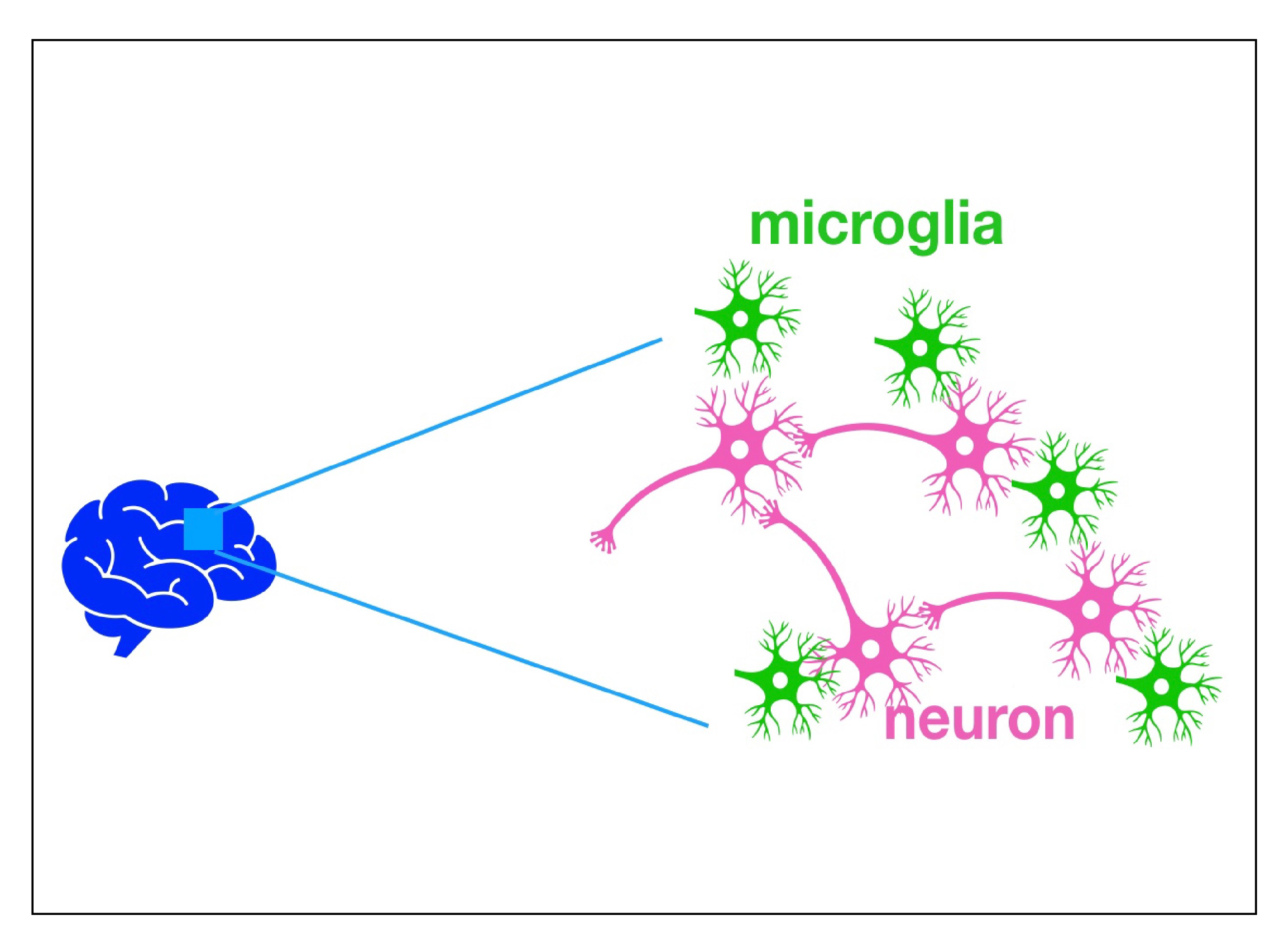 Second Research Image