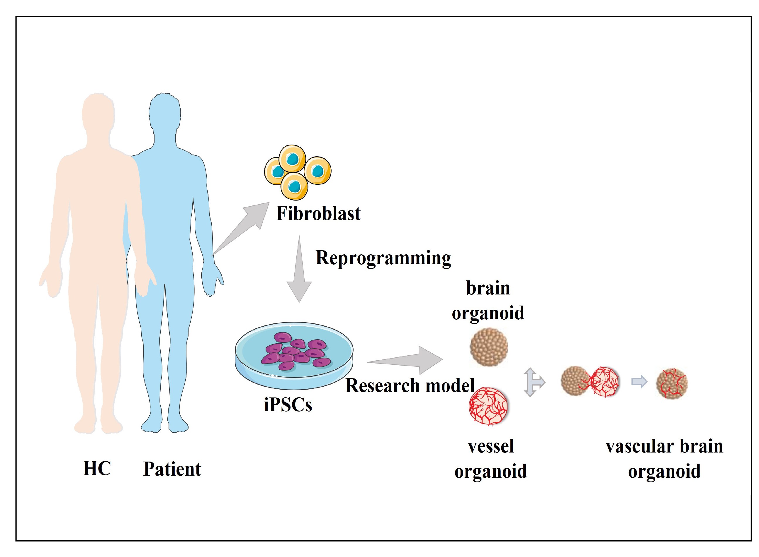 Third Research Image